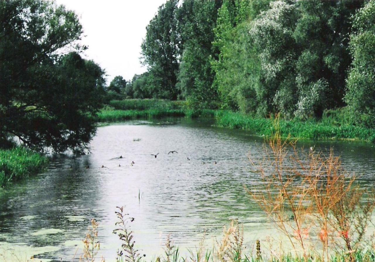 Star Camp Cosa, Ferienwohnungen, Camping, Schlaffaesser Friedland  Kültér fotó